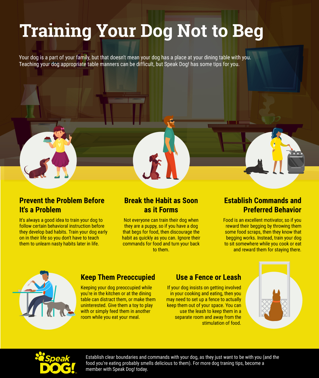 should you let your dog beg for food