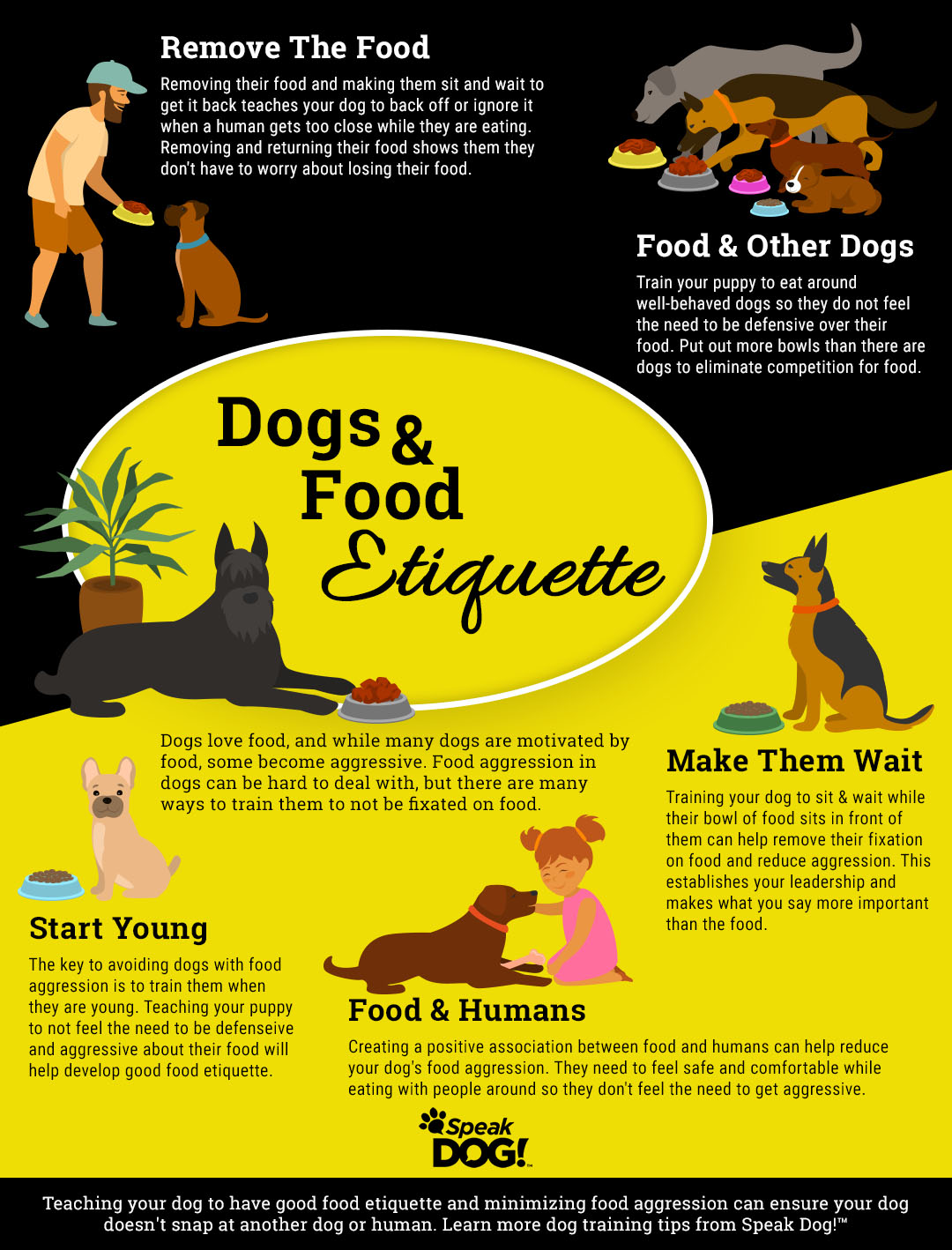 How to get 2025 dog to eat food